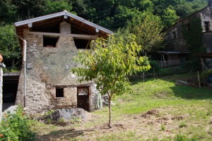 Immobilien Comer See Gravedona ed Uniti mit Garten