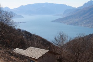 Immobilien Comer See Domaso mit Garten un Seeblick