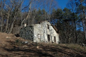 Immobilien Comer See Plesio mit Seeblick