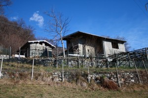 Immobilien Comer See Gera Lario mit Garten und Seeblick